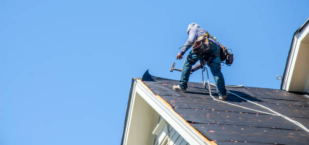 Best Metal Roofing Contractor  in Ara, AL
